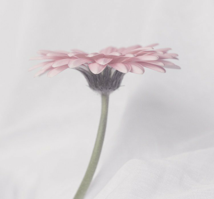 042013575419.png